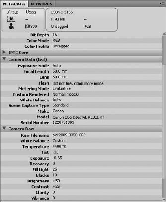 This is some of the metadata available for a camera raw image.