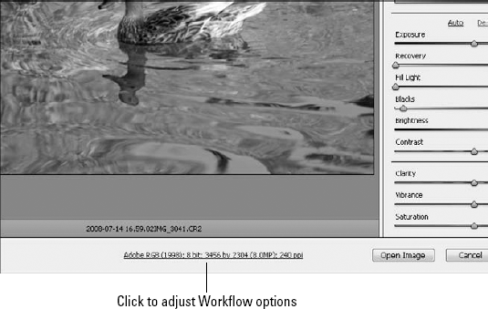 This is not only important information, but a link to the Workflow Options dialog box.