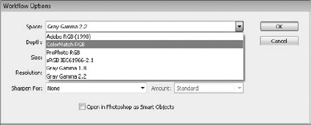 You can choose from four color profiles and two grayscale profiles in the Space drop-down menu.