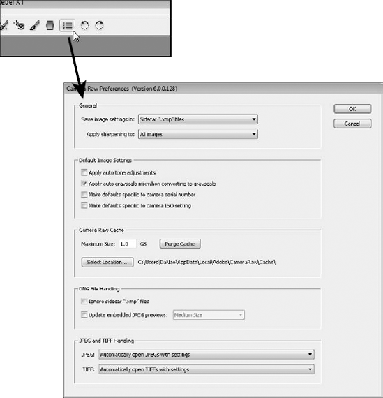 You can reset Camera Raw preferences by opening the Preferences dialog box in the tool menu.