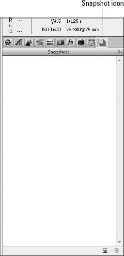 The Snapshot panel isn't much until you add to it.