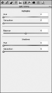 The Split Toning panel maps color to your image.