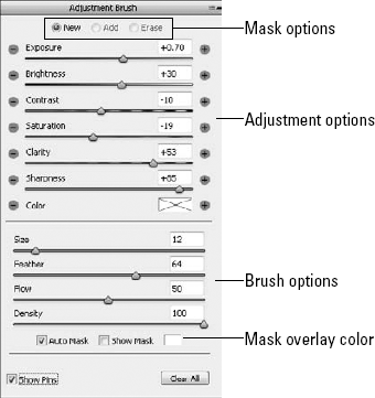 The Adjustment Brush panel provides a limited number of adjustments that can be made to targeted areas of your image.