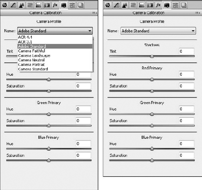 Your camera profiles in the Camera Calibration tab may be different than the ones shown here.