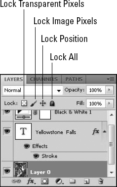 The Layers panel has different types of lock settings that allow you to protect your layers.