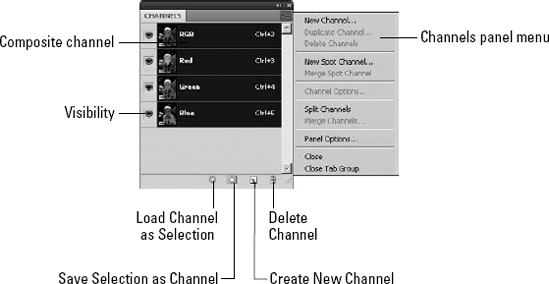 The Channels panel allows you to manage individual color channels in images.