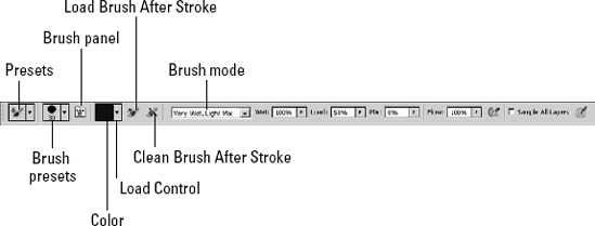 Tool options for the mixer brush allow you to set the color and control the paint mix, color, and cleaning of the brush.