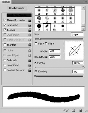 Setting the shape of a flat brush