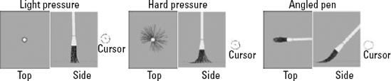 The Bristle Brush preview window animates the movement of the brush and bristles when you are applying paint stokes. You can see the curvature of the bristles caused by the pressure and angle of the stylus pen.