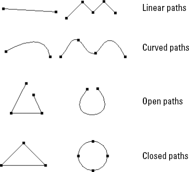 Photoshop has several different types of paths, including linear, straight, open, and closed.