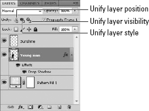 The Unify icons in the Layers panel