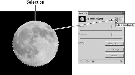 To add transparency in an image, simply select the areas that you want to remain opaque and select Add a Pixel Mask in the Masks panel.