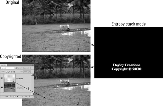 Using the Entropy mode, you can quickly compare a digital image with the original to reveal an embedded copyright message.