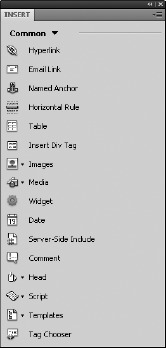 The Dreamweaver Insert bar includes dozens of objects in several different categories.