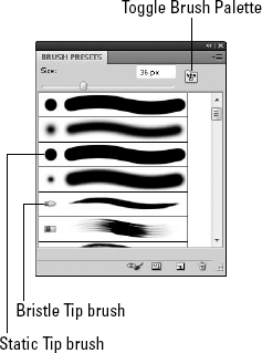 The Brush Presets palette includes many preset brushes to start with. Toggle Brush Palette