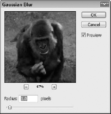 The Gaussian Blur dialog box, like most filter dialog boxes, includes a Preview pane.