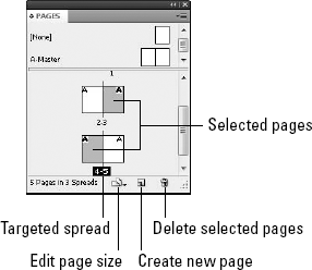 The Pages palette shows icons for all pages, spreads, and Masters in the current document.