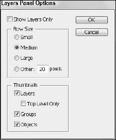 The Layers Palette Options dialog box