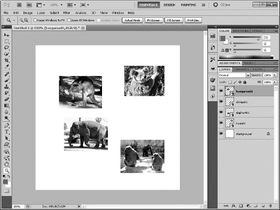 Placing each image on a separate layer makes aligning and distributing the images easy.