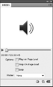 Audio options in the Media palette
