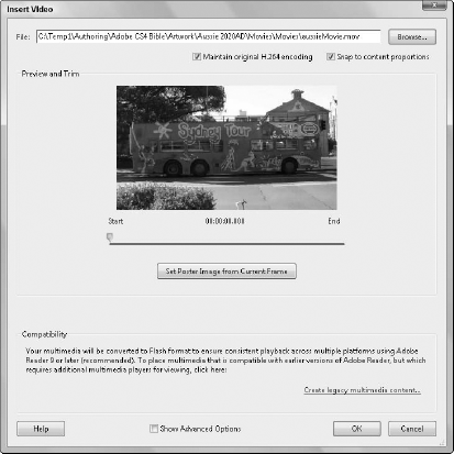 The Insert Video dialog box lets you load and preview a video file.