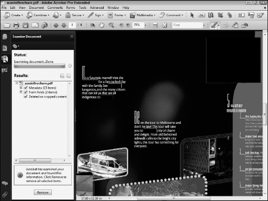 Click the Remove button in the Examine Document panel to eliminate any other occurrences of the text and graphics you want to delete.