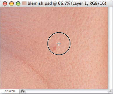 Use the Clone Stamp Tool to remove blemishes