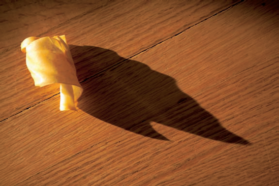 My dog's rawhide chew toy casts a well-defined shadow on the floor, indicative of the hard light quality of the direct, late-afternoon sun. Do you see a shape in the shadow that reminds you of something? Seeing light is about seeing the absence of light also. Exposure: ISO 3200, f/3.2, 1/1000 second.