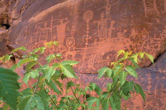 In this front lit scene of petroglyphs from the Utah desert, there are no shadows to give the viewer a sense of depth and dimension. I tried to work some visual interest into the scene by stepping back and including the green bushes to add color contrast to the red rock wall. Exposure: ISO 100, f/11, 1/250 second.