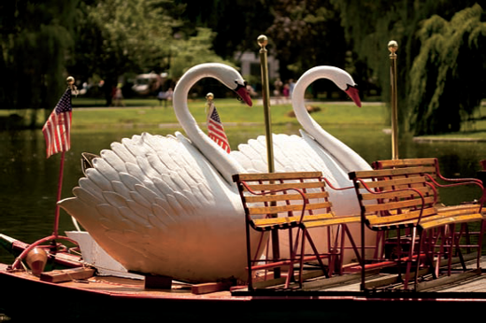 I wanted a shallow depth of field to blur the background and place all the attention on these swan boats, so I shot this image in Aperture Priority mode. Exposure: ISO 100, f/2.8, 1/2500 second.