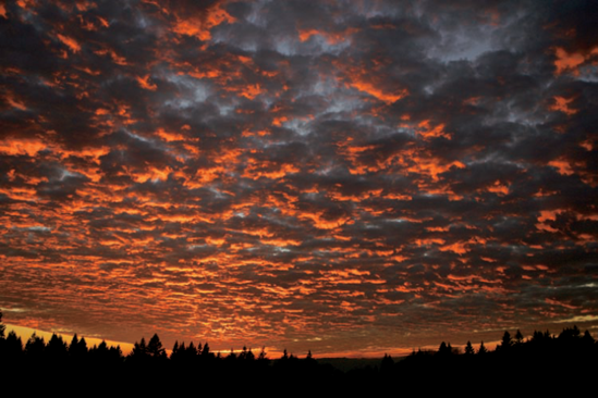 Often, the sky can be ablaze with color after the sun has set. This sky scene from Hubbard, Oregon, greeted me as I was leaving a commercial shoot location and headed home. Exposure: ISO 400, f/2.8, 1/800 second.