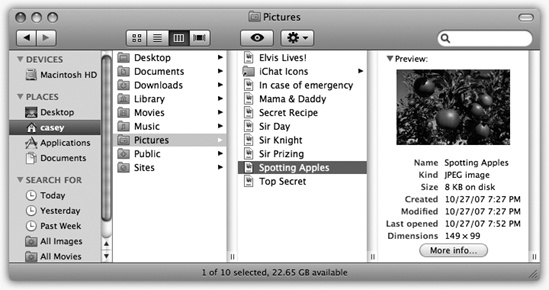 If the rightmost folder contains pictures, sounds, Office documents, or movies, you can look at them or play them, right there in the Finder. You can drag this jumbo preview icon anywhere—into another folder or the Trash, for example.