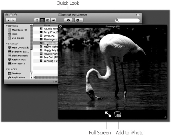 Once the Quick Look window is open, you can play the file (movies and sounds), study it in more detail (most kinds of graphics files), or even read it (PDF, Word, and Excel documents). You can also click another icon, and another, and another, without ever closing the preview; the contents of the window simply change to reflect whatever you’ve just clicked. Supertip: Quick Look even works on icons in the Trash, too, so you can figure out what something is before you nuke it forever.