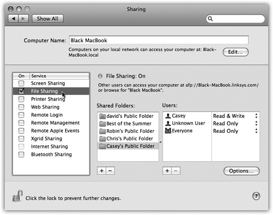 Here’s the master switch that makes your Public folder (and any other folders you designate) available to other people on the network. You can edit the Computer Name, if you like. Your Mac will appear on the network with this name. Make it nice and descriptive, such as Front Desk iMac.