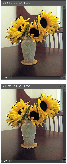 Top: It would be a nuisance to select these sunflowers because of the many pointy-edged petals. A click and a couple of short drags, though, with the Quick Selection tool produced this selection. Notice how well the tool found the edges of the petals.Bottom: It took only a tiny downward movement of the mouse to tell Elements to select the vase as well. The whole selection took less than 5 seconds to complete.