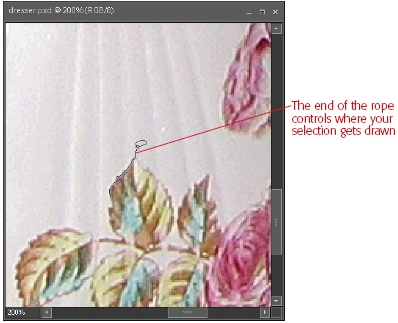 The end of the rope, and not the lasso loop, is the selection-drawing point of the basic Lasso tool. If the cursor’s shape bothers you, change it to crosshairs by pressing the Caps Lock key anytime as you select.