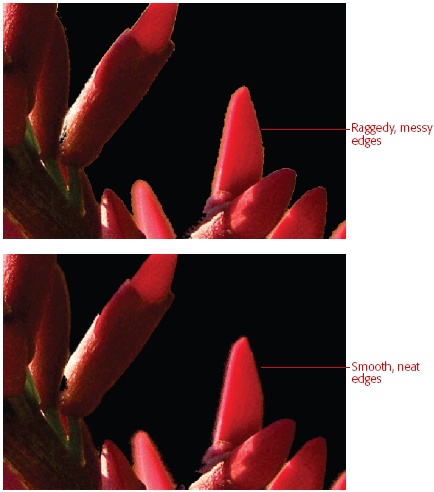 Defringing is a big help in cleaning up the edges of your selections.Top: Here’s a closeup of the extracted coral bean blossom. The black matte background makes the ragged edges stand out. If you look closely, you can see the ragged edges of the flower. If you place this image into another graphic, it will look like you cut it out with very dull nail scissors.Bottom: The edges will blend into another image much more believably after you apply defringing. Here you can see how much softer the edges are after defringing. Now you can place the flower into another file without getting the cut-out effect.