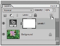 To make a layer go away, either drag the layer to the Trash can icon on the Layers palette or, after selecting the layer, just click the “Delete layer” icon (the Trash can [where the cursor is here]). Elements responds by asking if you want to delete the active layer. Say yes, and it’s history. Once you delete a layer, it’s gone forever.