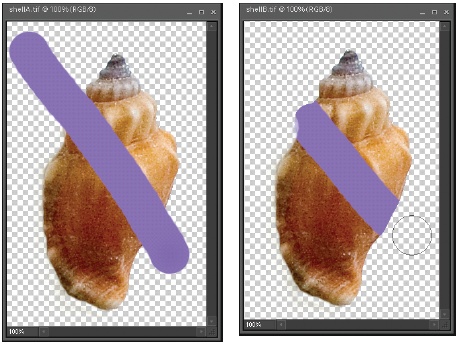 After you’ve isolated an object on its own layer, sometimes you want to paint only on the object—and not on the transparent portion of the layer. Elements lets you lock the transparent part of a layer, making it easy to paint only the object itself.Left: On a regular layer, paint goes wherever the brush does.Right: With the layer’s transparency locked, the stroke stops at the edge of the seashell, even though the brush (the circle) is now on the layer’s transparent portion.