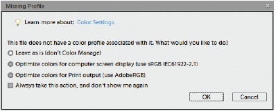 If you select the “Allow Me to Choose” option for color management, you see the Missing Profile dialog box each time you open a previously untagged image. Here’s where you can decide whether or not to tag your file and how to tag it. (See for more about tags.)