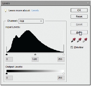 One of the scariest sights in Elements, the Levels dialog box is actually your very good friend. If it frightens you, take comfort in knowing that you’ve always got the Auto button here, which is the same Auto Levels command as in Quick Fix. But it’s worth persevering: The other options here give you much better control over the end results.