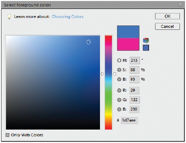 For the majority of beginners, the most important parts of the Elements Color Picker are the vertical rectangular slider in the middle (called, appropriately enough, the Color Slider), and the big square box, called the Color Field. Use the Slider to get the general color you want, and then click in the Field for the exact shade.