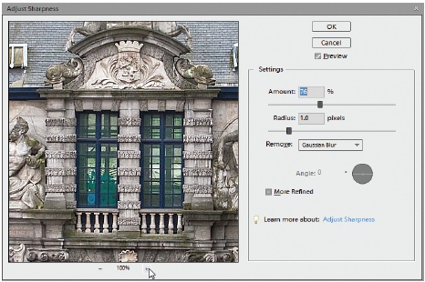 The Adjust Sharpness dialog box shows you a good-sized preview of your image. But it helps if you position the dialog box so you can see the main image window as well. That way you can keep an eye on any changes happening in areas outside the preview frame.