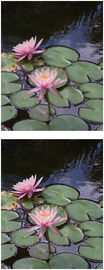 Top: The original photo.Bottom: High-Pass sharpening using Vivid Light makes the colors more vivid, but the ripples are much harder-edged than they were in the original. For high-pass sharpening, you can use any of the blend modes in the group with Overlay, except Hard Mix and Pin Light. Vivid Light can make your colors pop, but watch out for sharpening artifacts, since they’ll be more vivid, too. Overlay gives a softer effect.