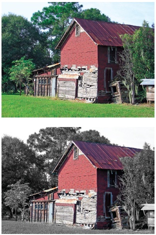 With Elements, you can easily remove the color from only part of an image.Top: Here, the photo is a regular color image.Bottom: The color is gone from everything except the barn. You’ll learn three easy methods for removing color in this section.