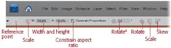 The Options bar for the Transform commands. The width and height boxes let you manually specify dimensions when resizing your image (click the Scale button to their left once you’re done entering the numbers). To scale by dragging, click the Scale button towards the right side of the tool options, and then drag any of the scaling handles (not shown) that appear on the bounding box surrounding your image.