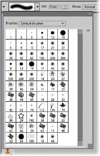 Elements gives you a pretty good list of different brushes to choose from, or you can add your own. Here you see just one of the many brush libraries included with Elements, the Default Brushes. You can make brushes, too, as explained on .