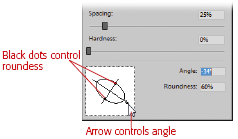 To adjust the angle and roundness of a brush, push the black dots to make the brush rounder or narrower and then grab the arrow and spin the brush to the angle you want. You can also type a number directly into either the Angle or Roundness box. (The illustration shows the bottom portion of the Brush Dynamics palette.)