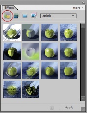 The Effects palette gives you a preview of what every filter looks like when applied to the same picture of a green apple. Click the Filters button (circled), and then, from the pull-down menu, choose a category. If you know what you want a filter to do but don’t know what name to look for, scrolling through these thumbnail images should help locate the one you want. To apply a filter from the palette, double-click the thumbnail, or click the thumbnail once and then click Apply. You can also drag the filter’s thumbnail from the palette onto your image.