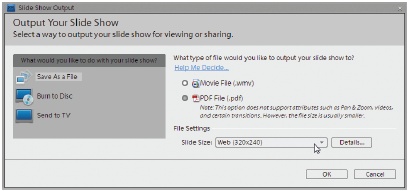 To pick a format for your slideshow, in the Slide Show Editor, click the Output button above the preview area. This action brings up the window you see here. Choose what you want to do from the list on the left. Your options on the right change to reflect your choice. If you’re creating a WMV file, then you get a number of different slide size options. For items that offer PAL and NTSC variations, PAL is the format you should choose if you plan on viewing the slideshow in Europe or China; choose NTSC for most other areas of the world, including the United States.